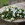 Flowers By Becky, an independent florist in Fleet