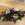 Flowers By Becky, an independent florist in Fleet