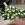 Flowers By Becky, an independent florist in Fleet