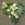 Flowers By Becky, an independent florist in Fleet