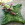 Flowers By Becky, an independent florist in Fleet